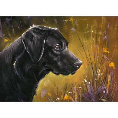 Game Boy (Black Labrador) - LGE