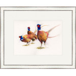 The Gentry (Pheasants) - SML The Gentry (Pheasants) - SML
