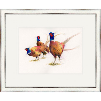 The Gentry (Pheasants) - SML The Gentry (Pheasants) - SML