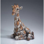 Giraffe Calf Giraffe Calf
