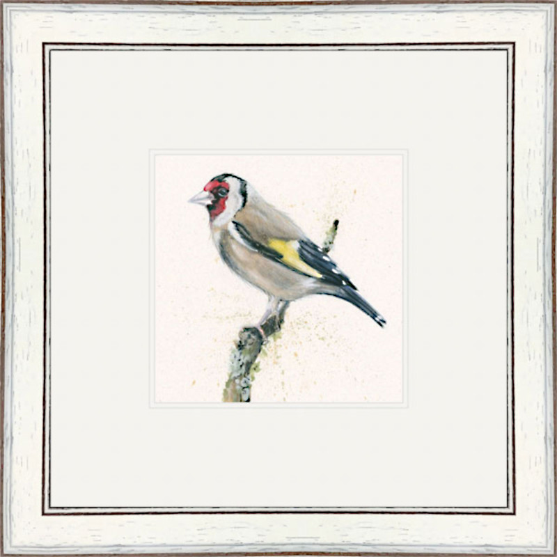 Gold Finger (Gold Finch) Gold Finger (Gold Finch)