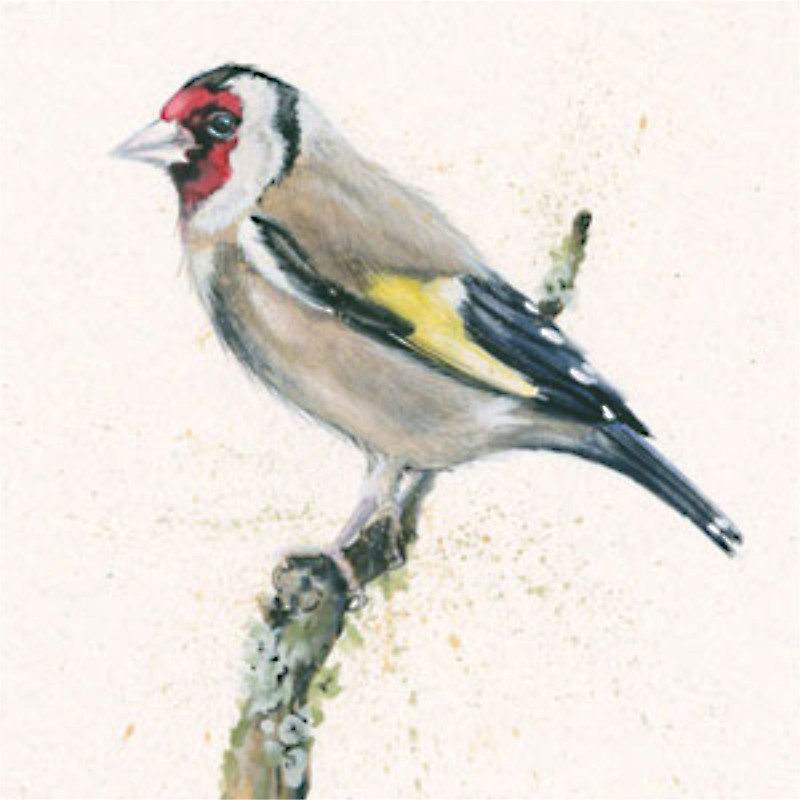 Gold Finger (Gold Finch) Gold Finger (Gold Finch)