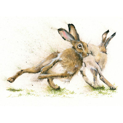 Hare Racing - LGE