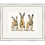 Hare No Evil (Hares) - SML
