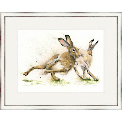 Hare Racing - LGE Hare Racing - LGE