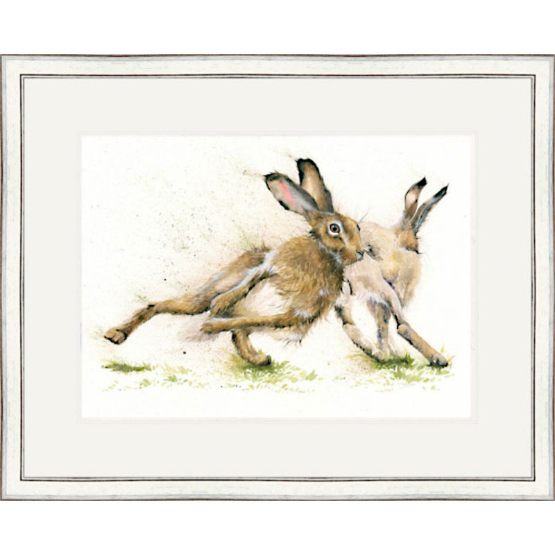Hare Racing - LGE Hare Racing - LGE