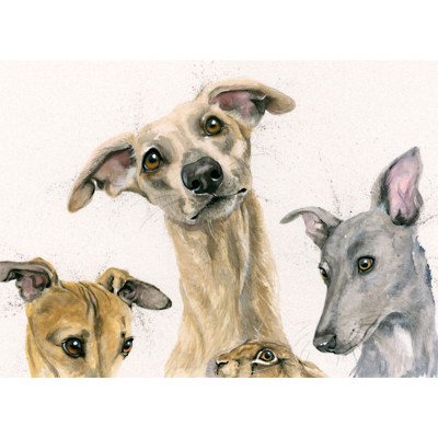 Hare of The Dog (Whippets)