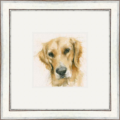 Henry (Retriever) Henry (Retriever)