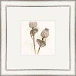 I Seed You First (Dormouse) I Seed You First (Dormouse)