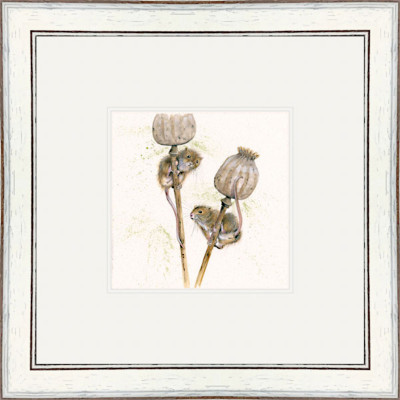 I Seed You First (Dormouse) I Seed You First (Dormouse)