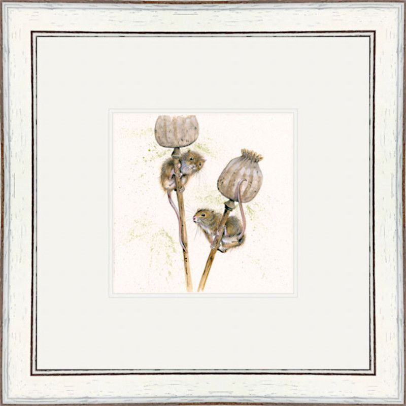 I Seed You First (Dormouse) I Seed You First (Dormouse)