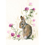 In The Pink - Leveret SML In The Pink - Leveret SML