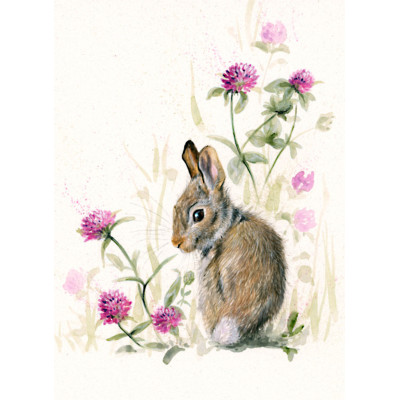 In The Pink - Leveret SML