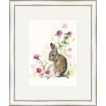 In The Pink - Leveret SML