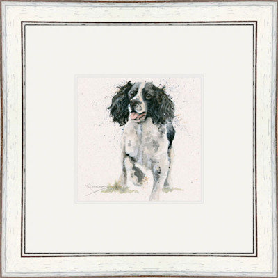Jasper (Springer)