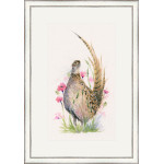 Juliet (Pheasant) - LGE Juliet (Pheasant) - LGE
