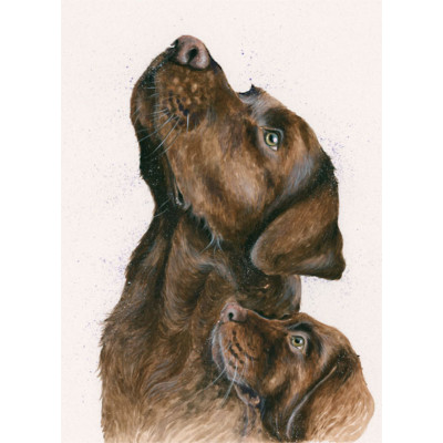 Lab Assistant - Chocolate Labradors