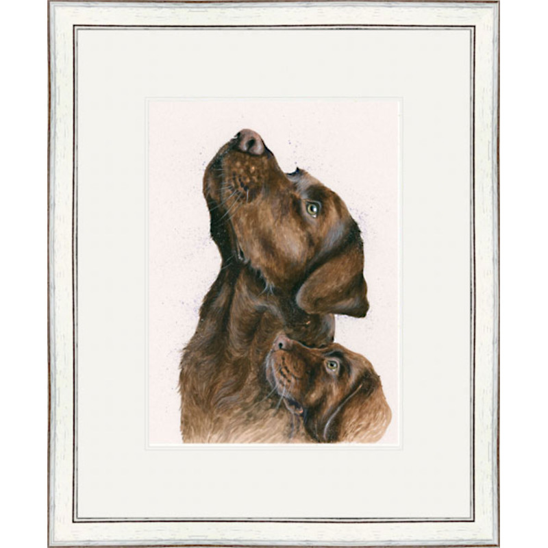 Lab Assistant - Chocolate Labradors Lab Assistant - Chocolate Labradors