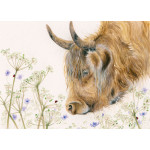 Ladies Day - Highland Cow LGE Ladies Day - Highland Cow LGE