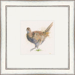 Lady Of The Manor (Pheasant) Lady Of The Manor (Pheasant)