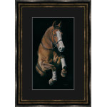 Leap of Faith (Horse)