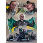 Victory 101 - Lewis Hamilton - Brazil 2021 Victory 101 - Lewis Hamilton - Brazil 2021