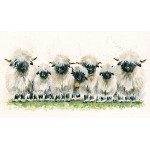 Lily of The Valais (Valais Sheep) Lily of The Valais (Valais Sheep)