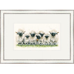 Lily of The Valais (Valais Sheep) Lily of The Valais (Valais Sheep)