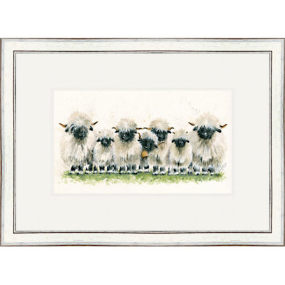Lily of The Valais (Valais Sheep) Lily of The Valais (Valais Sheep)