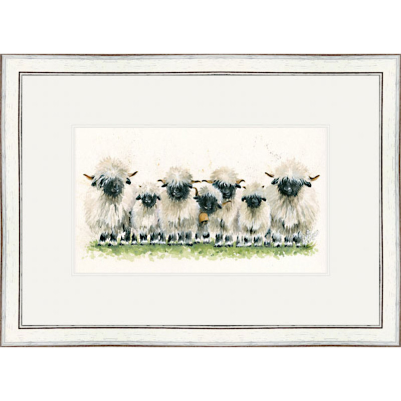 Lily of The Valais (Valais Sheep) Lily of The Valais (Valais Sheep)