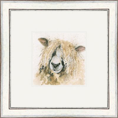 Lincoln (Lincoln Longwool) Lincoln (Lincoln Longwool)