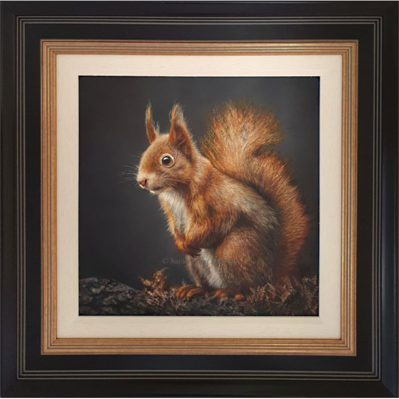 Sarah Eden - Little Red (Squirrel) Sarah Eden - Little Red (Squirrel)