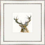 Lord and Master (Stag)