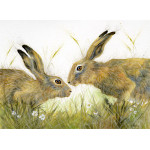 Love Is In The Hare (Hares) - SML Love Is In The Hare (Hares) - SML