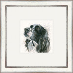Max (Setter) Max (Setter)