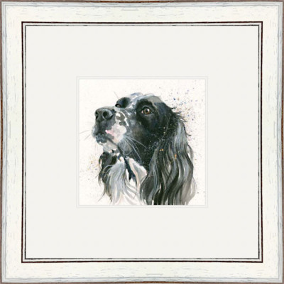 Max (Setter) Max (Setter)