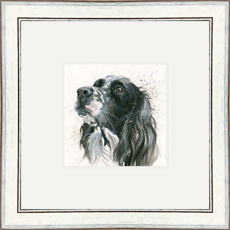 Max (Setter) Max (Setter)