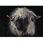 Miss Valais (Valais Ewe)