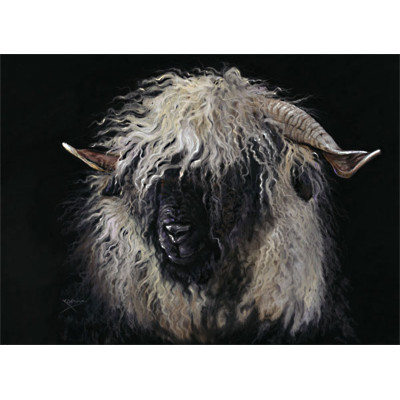 Miss Valais (Valais Ewe)