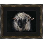 Miss Valais (Valais Ewe)