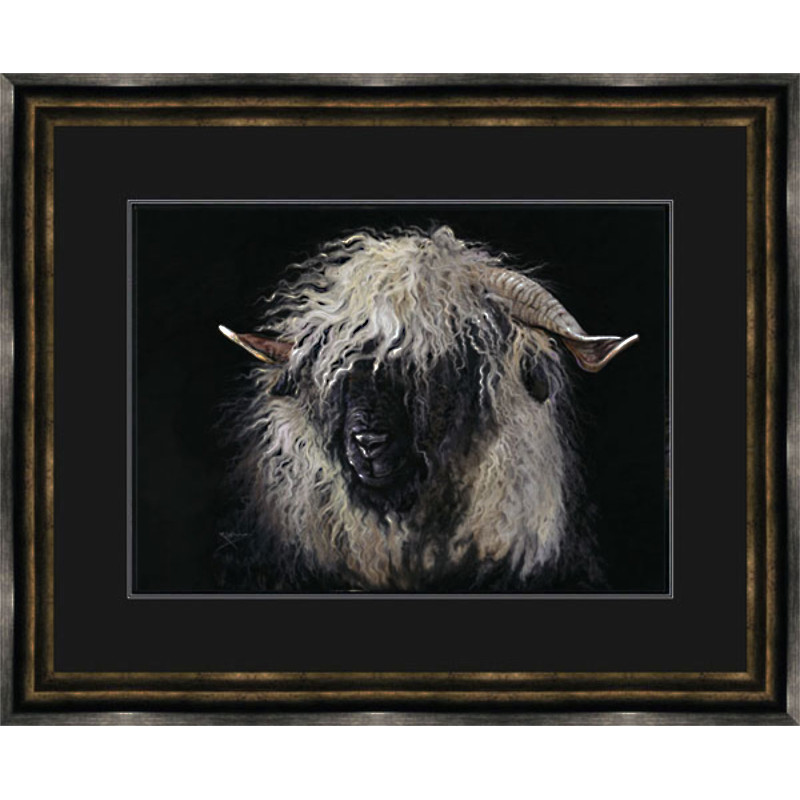 Miss Valais (Valais Ewe)