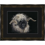 Mr Blacknose (Valais Ram) Mr Blacknose (Valais Ram)