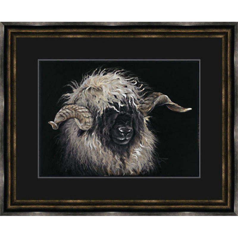 Mr Blacknose (Valais Ram) Mr Blacknose (Valais Ram)
