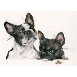 Nouvelle Cuisine (French Bulldog's) Nouvelle Cuisine (French Bulldog's)