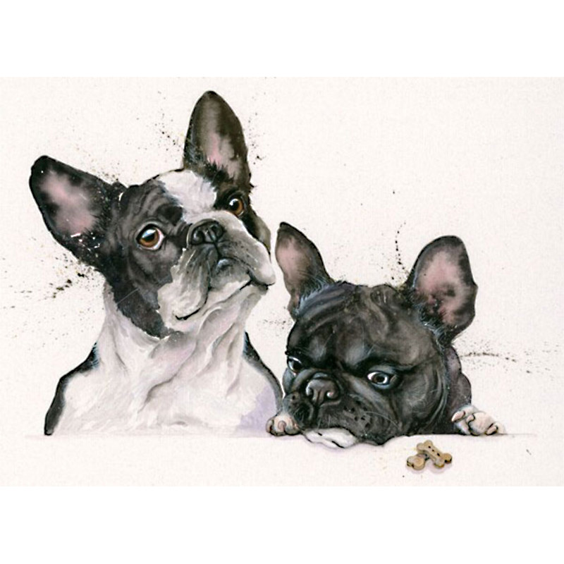 Nouvelle Cuisine (French Bulldog's) Nouvelle Cuisine (French Bulldog's)