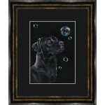 On Reflection (Black Lab) - SML On Reflection (Black Lab) - SML