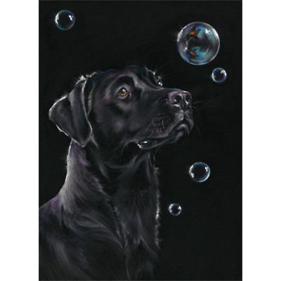 On Reflection (Black Lab) - LGE