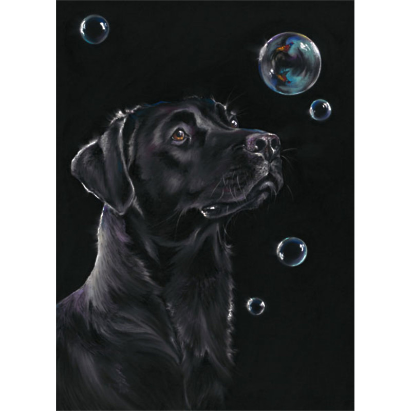 On Reflection (Black Lab) - SML On Reflection (Black Lab) - SML
