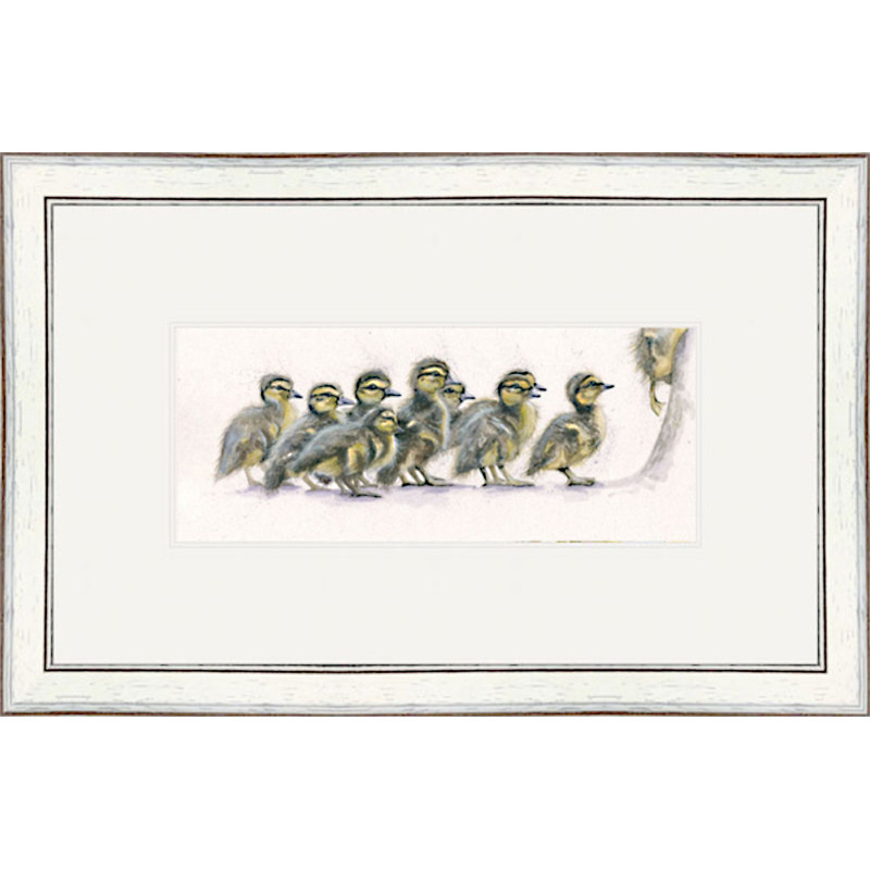 One Step Beyond (Ducklings) One Step Beyond (Ducklings)