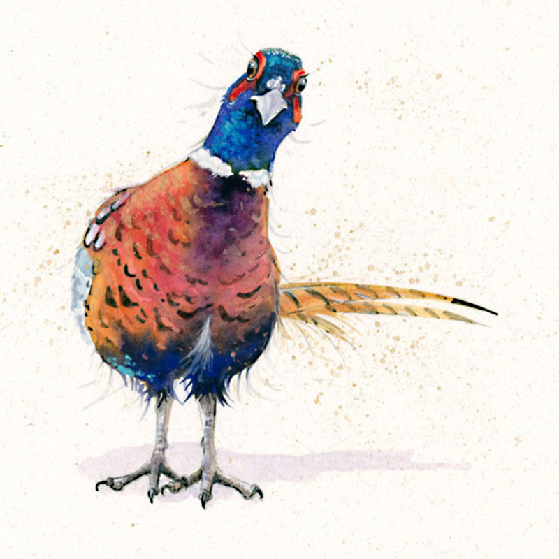 Only Me - Pheasant Only Me - Pheasant